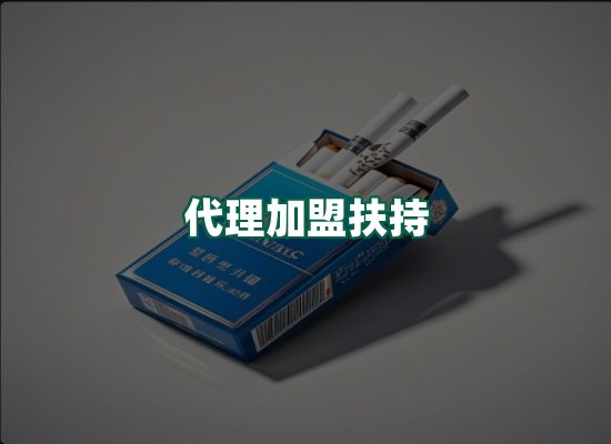 核心优势